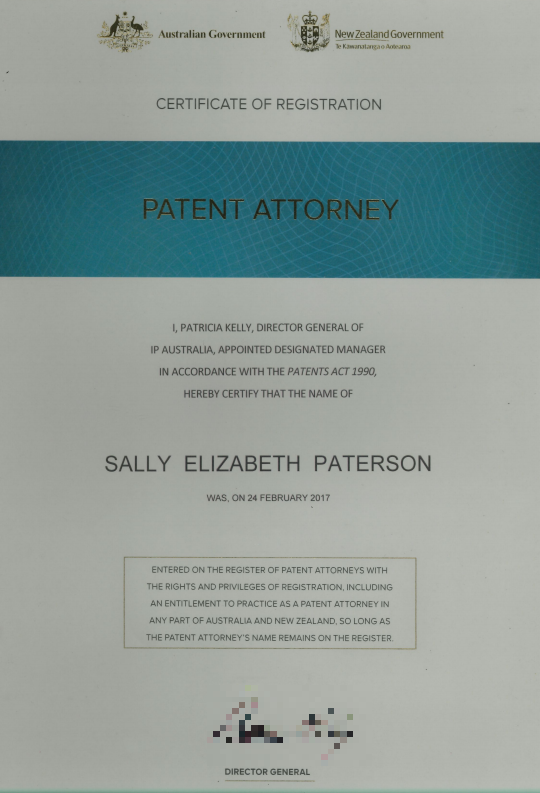 registered patent attorney